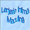 Lenjerie Intima Masculina. 01