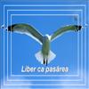 Liber ca pasarea