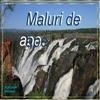 Maluri de ape