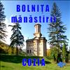 Manastirea Cozia.  Bolnita. 01