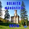 Manastirea Cozia.  Bolnita. 02