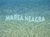 Marea Neagra