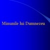 Minunile lui Dumnezeu