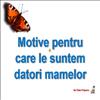 Motive pentru care le suntem datori mamelor