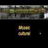 Mozaic cultural