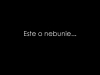 Nebunie