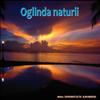 Oglinda naturii
