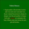 Padurea Baneasa
