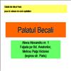 Palatul Becali
