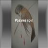 Pasarea spin