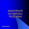Pelesul ascuns