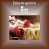 Pino