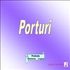 Porturi