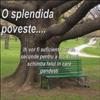 Poveste