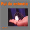 Pui de animale