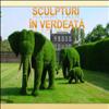 Sculpturi in verdeata