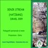Senir Stream