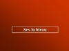 Sex in office