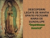 Sfanta Fecioara Maria de Guadalupe