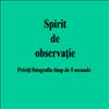 Spirit de observatie
