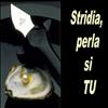 Stridia,  perla si  TU