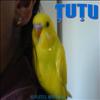TUTU