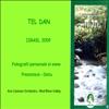 Tel Dan