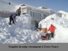 Terre Neuve1