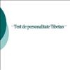 Test de personalitate