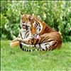 Tigrul, adevaratul rege al junglei