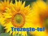 Trezeste-te la viata