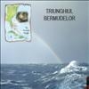 Triunghiul Bermudelor