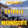 Tsunami & Animale Necunoscute.