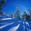 Winter day