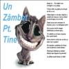 Zambet
