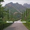 Zidul Chinezesc