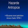 amoco cadiz ppt hazard antropic