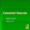 calamitati naturale