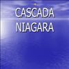 cascada niagara