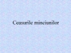 ceasurile minciunilor