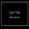 cele 7 noi minuni ale lumii