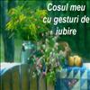 cosuletul cu gesturi de iubire