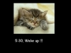 daily schedule