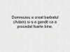 eroare divina