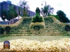 garden D