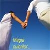 magia culorilor