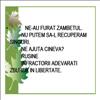 ne-au furat zambetul
