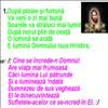 numai a mea