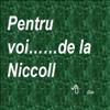 pt fii si fice