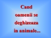 un zambet pt dvs
